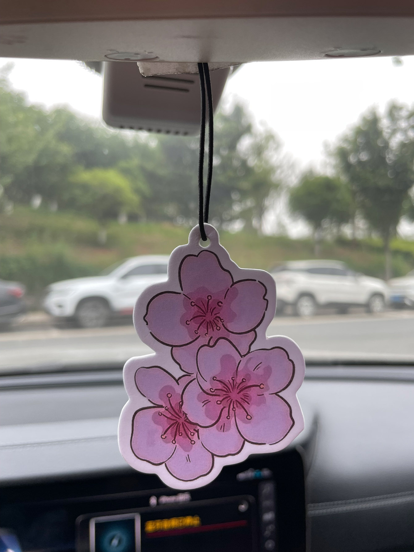 Perfume para Auto de Cinco Est - Perfume And Fragrance Are Same reseña y precio