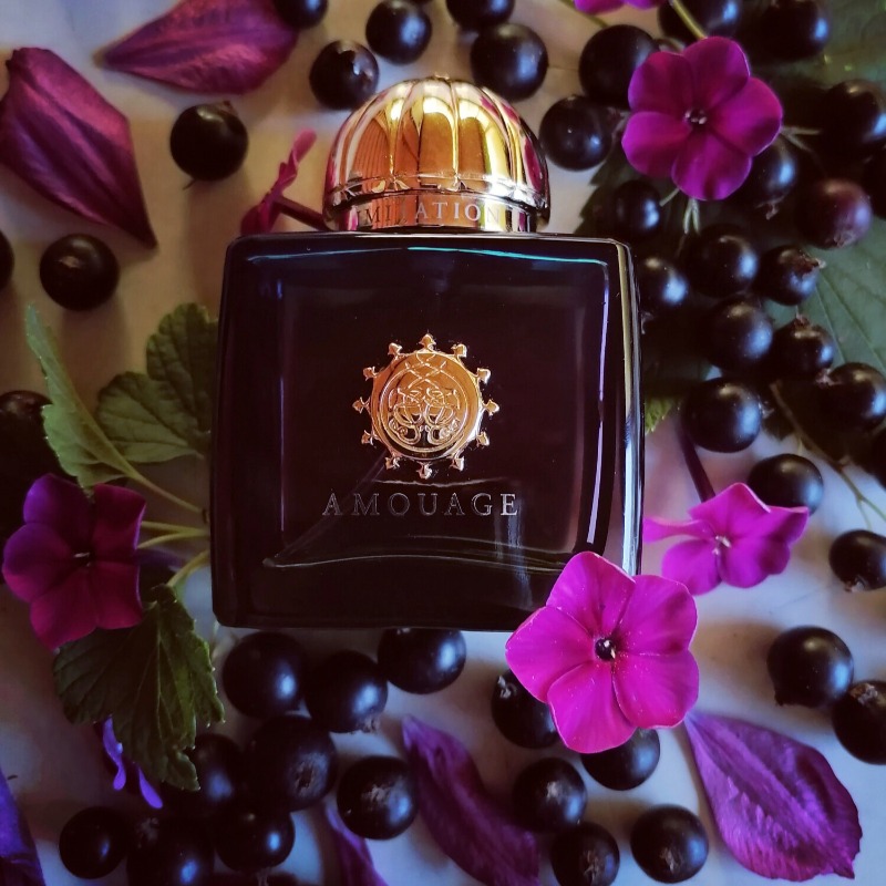 Perfume de Lujo para Mujer AMO - The Collection Perfume Fragrance reseña y precio